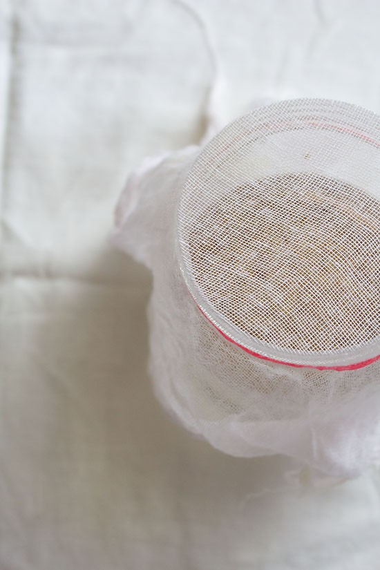 alfalfa sprouts with a muslin and rubber band.