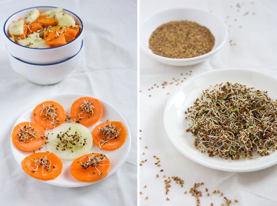 collage of grown alfalfa sprouts served with vegetables and sprouts in a plate.