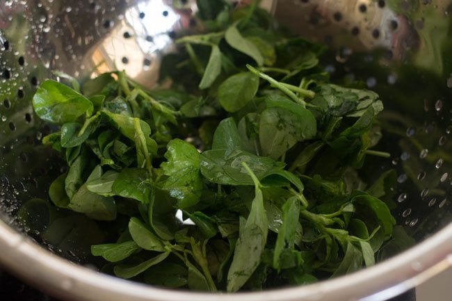 washed and drained methi leaves in a colander.