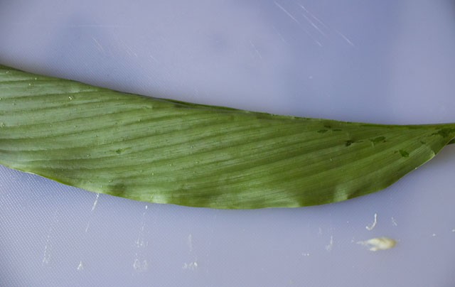 turmeric leaf folded down on one side. 