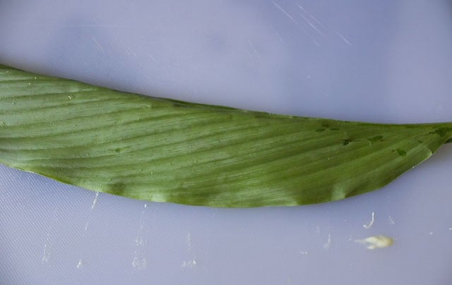 Fold the turmeric leaves down on one side. 