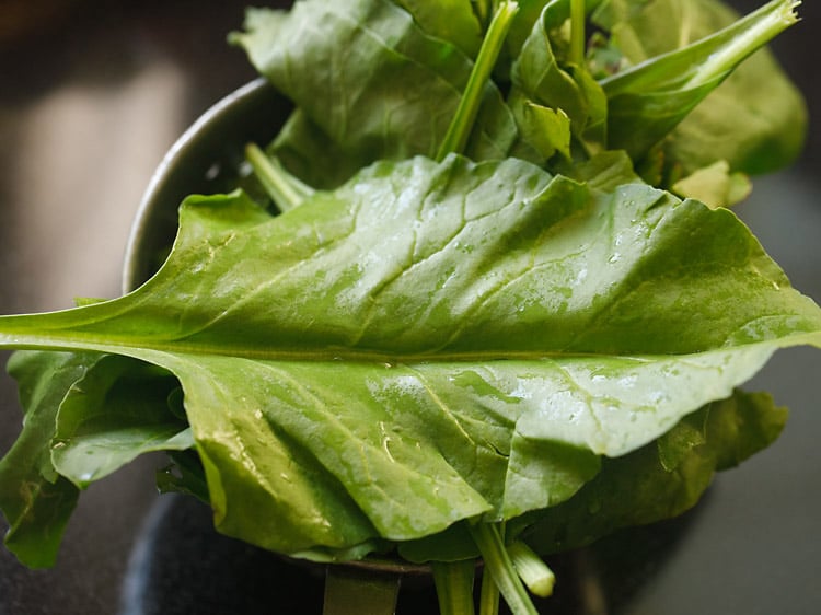 rinsing spinach