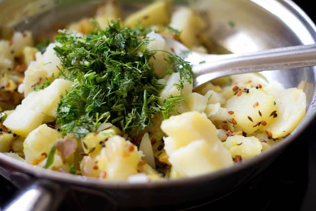 adding boiled and chopped potatoes and cilantro for making batata bhaji.