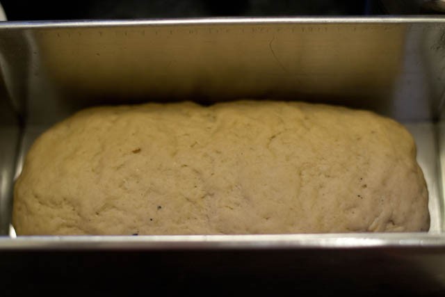 place the dough in a greased loaf pan
