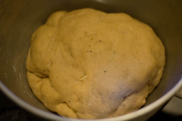 leavened dough after almost 4 hours
