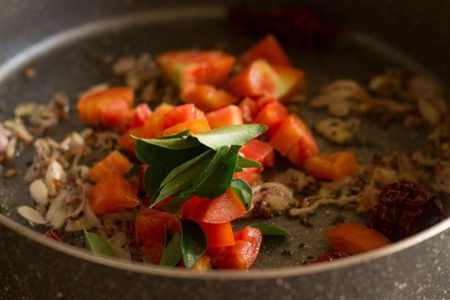 adding chopped tomatoes and curry leaves