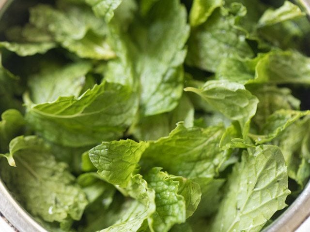 fresh mint leaves in grinder for jaljeera 