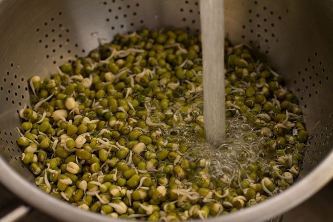 rinsing the moong sprouts 