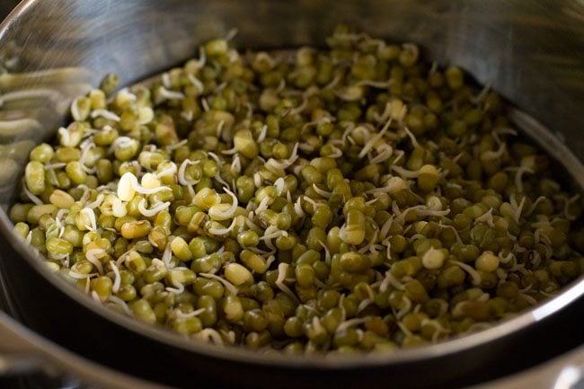 steamed moong bean sprouts in a pan