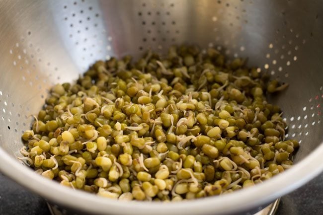 draining water from cooked moong sprouts 