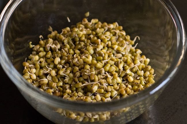 cooked moong bean sprouts in a large bowl