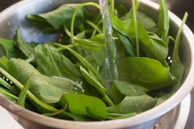 rinsing palak leaves