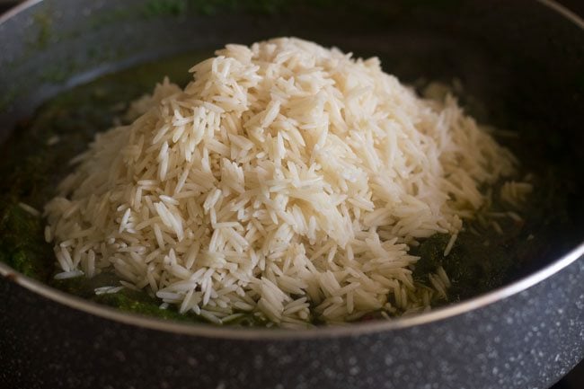 adding rice for palak biryani