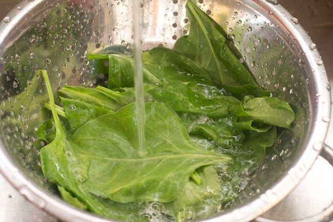 rinsing spinach leaves with water in a colander. 