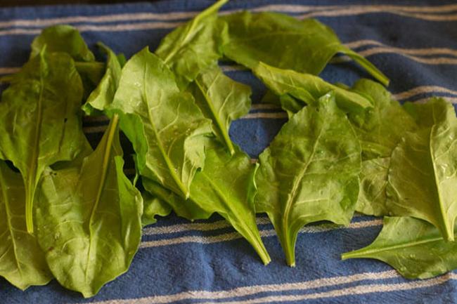 wiping spinach leaves dry with a kitchen towel. 