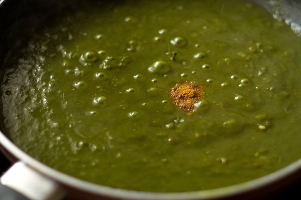 added garam masala powder to the spinach sauce