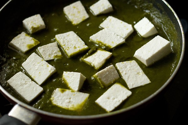 paneer cubes added