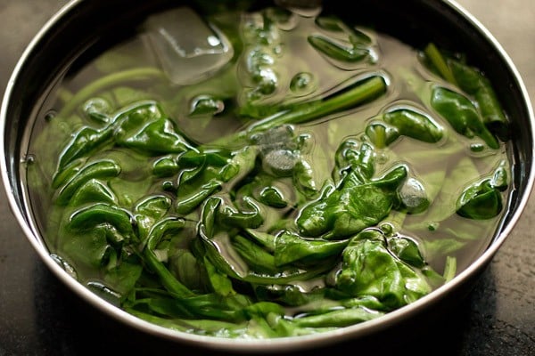 immersing the spinach leaves in cold water