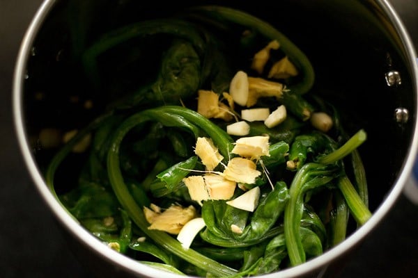 palak-paneer-recipe5.jpg