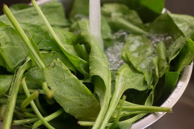 rinsing spinach leaves