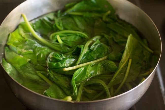 spinach leaves blanching in hot water