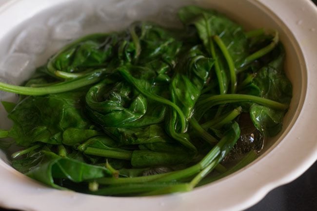 spinach leaves in cold water in a white bowl