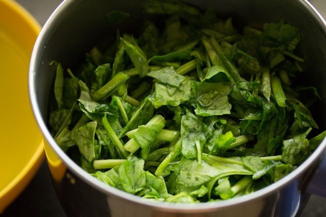 blanched spinach leaves in a blender