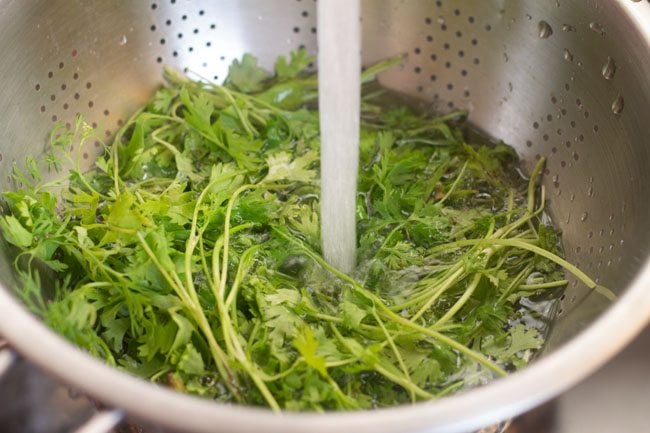 rinsing coriander leaves for making coriander coconut chutney. 