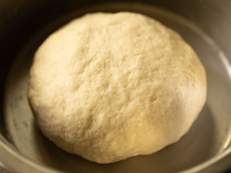 kneaded naan dough