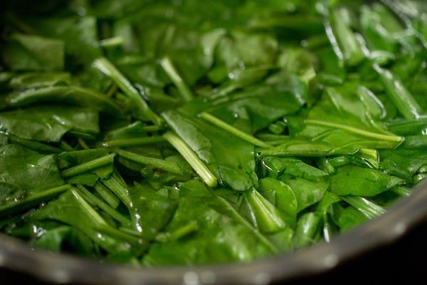 palak leaves added to hot water