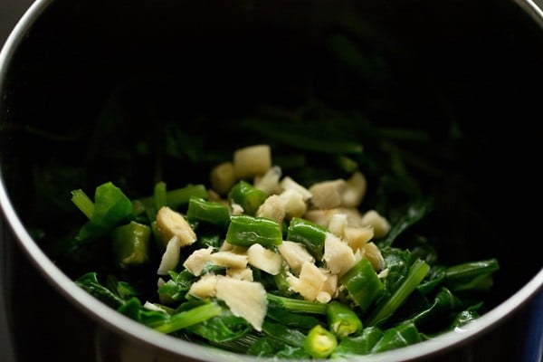 blending palak leaves along with ginger garlic green chili