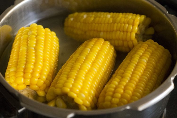 boiling corn