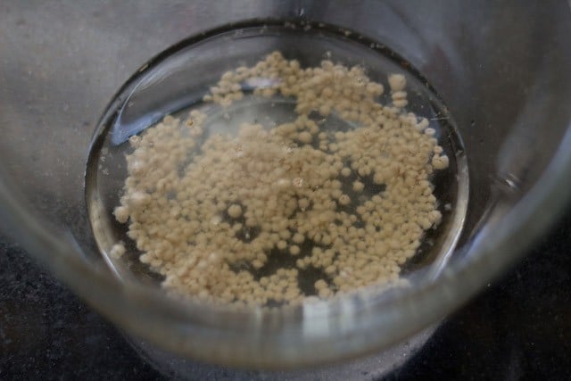 mix sugar yeast and water to proof the yeast.