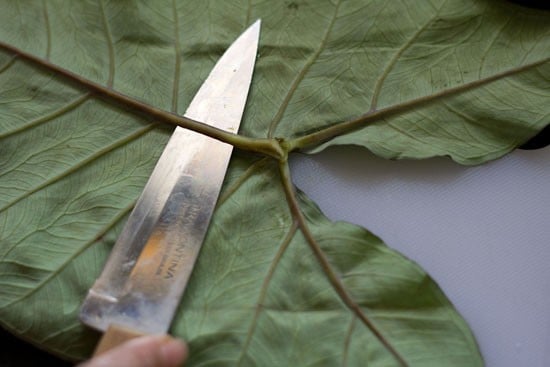 removing thick veins from colocasia leaves for patra recipe. 