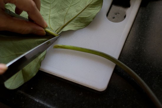 slicing stalk from base of colocasia leaves for patra recipe. 