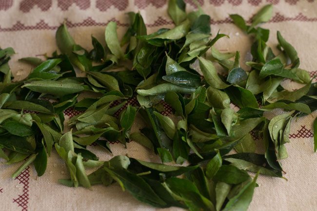 curry leaves for curry leaves chutney recipe