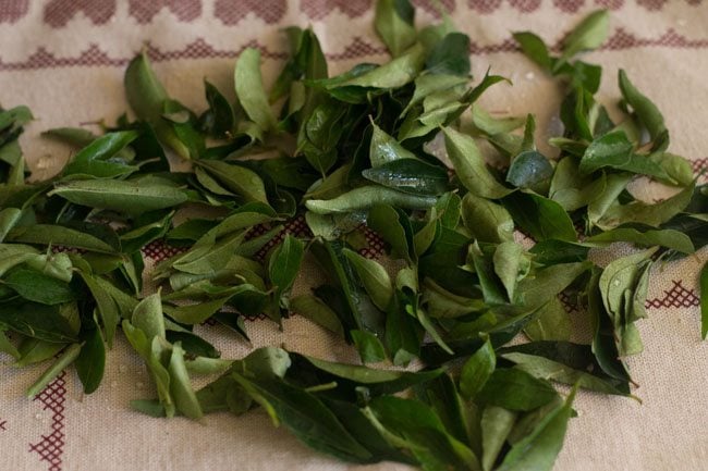 rinsing curry leaves for kadi patta chutney. 