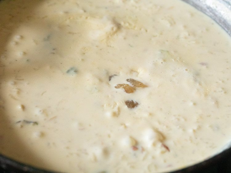 golden raisins added to cooked kheer. 