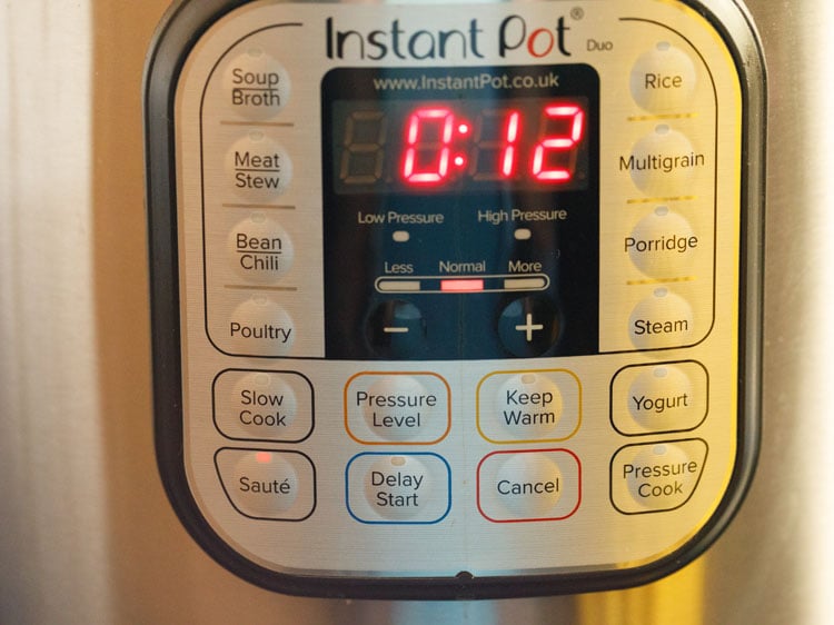 Instant Pot Switched on