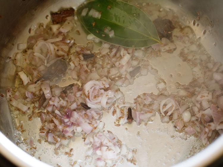 sauteing onions in instant pot