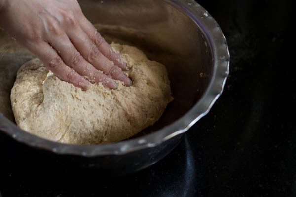 dough for whole wheat bread recipe