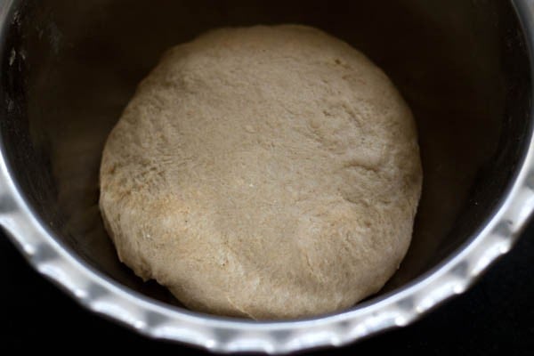 whole wheat flour dough