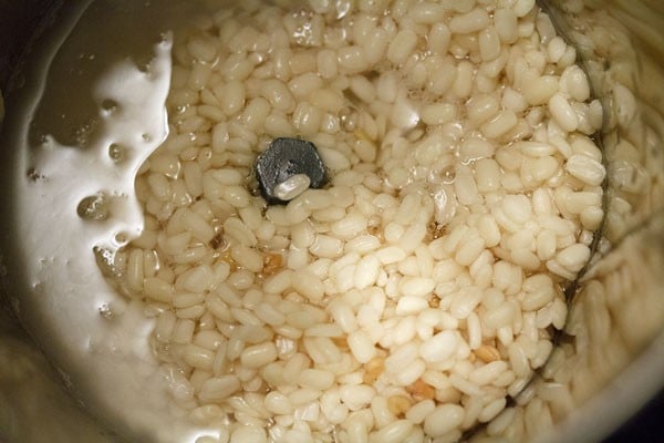 soaked urad dal, fenugreek seeds and water in a blender.