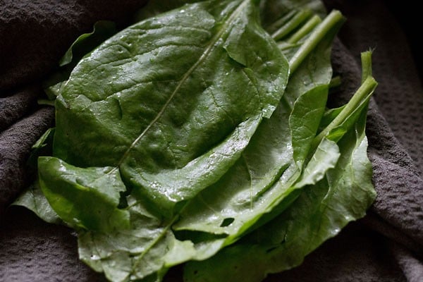 spinach leaves rinsed and placed on a grey kitchen towel