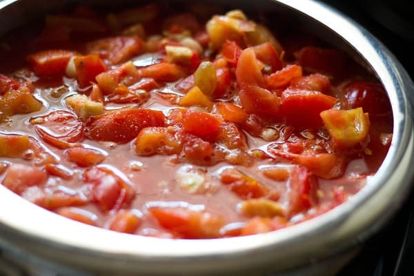 simmered tomato mixture after 9 minutes