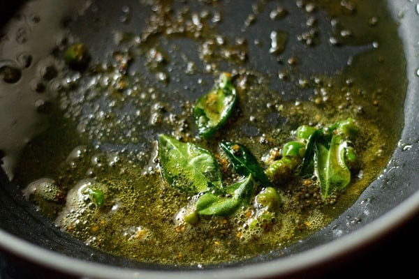 curry leaves for amti dal recipe