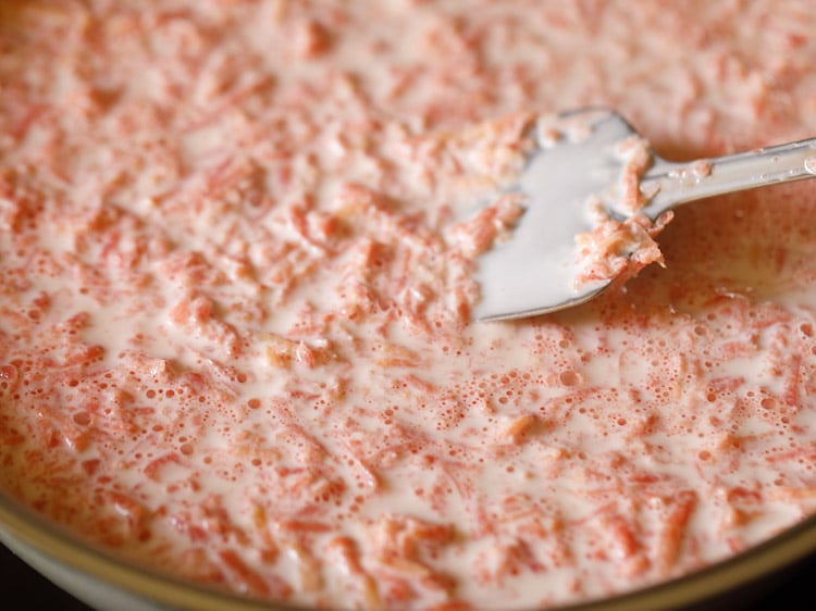 stirring carrots and milk as first step of making carrot halwa.