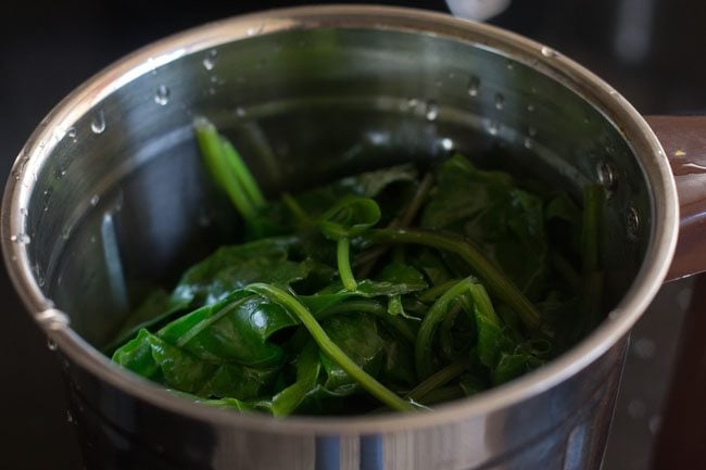 spinach added to blender