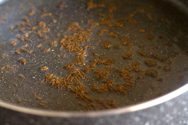 crackle cumin in the oil