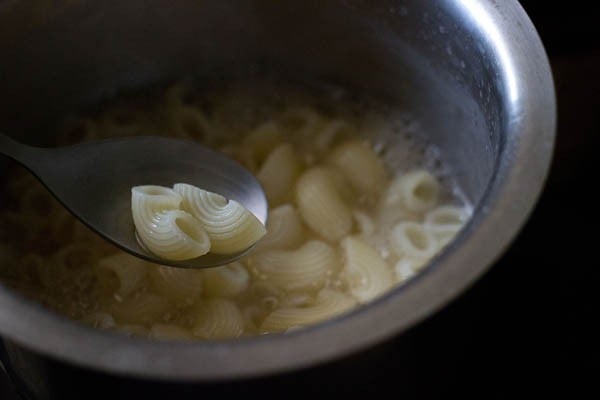 cooked pasta taken in a spoon